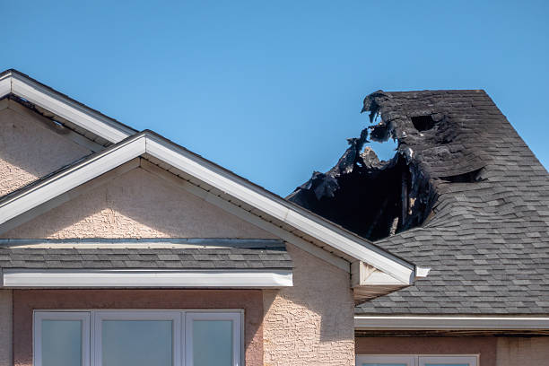 Licensed Board Up Services service in Cologne, MN - Fire Damage Biloxi
